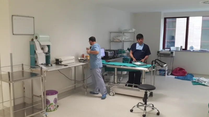 Kocaeli Şehir Hastanesi Görseli