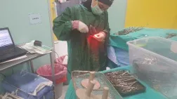 izmir Dokuz Eylül Üniversitesi Araştırma ve Uygulama Hastanesi Görseli